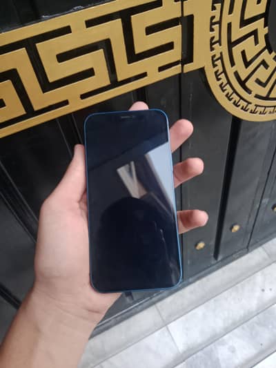 Apple iPhone 12