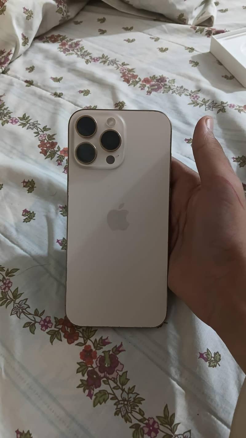 Apple iPhone 16 Pro Max 1