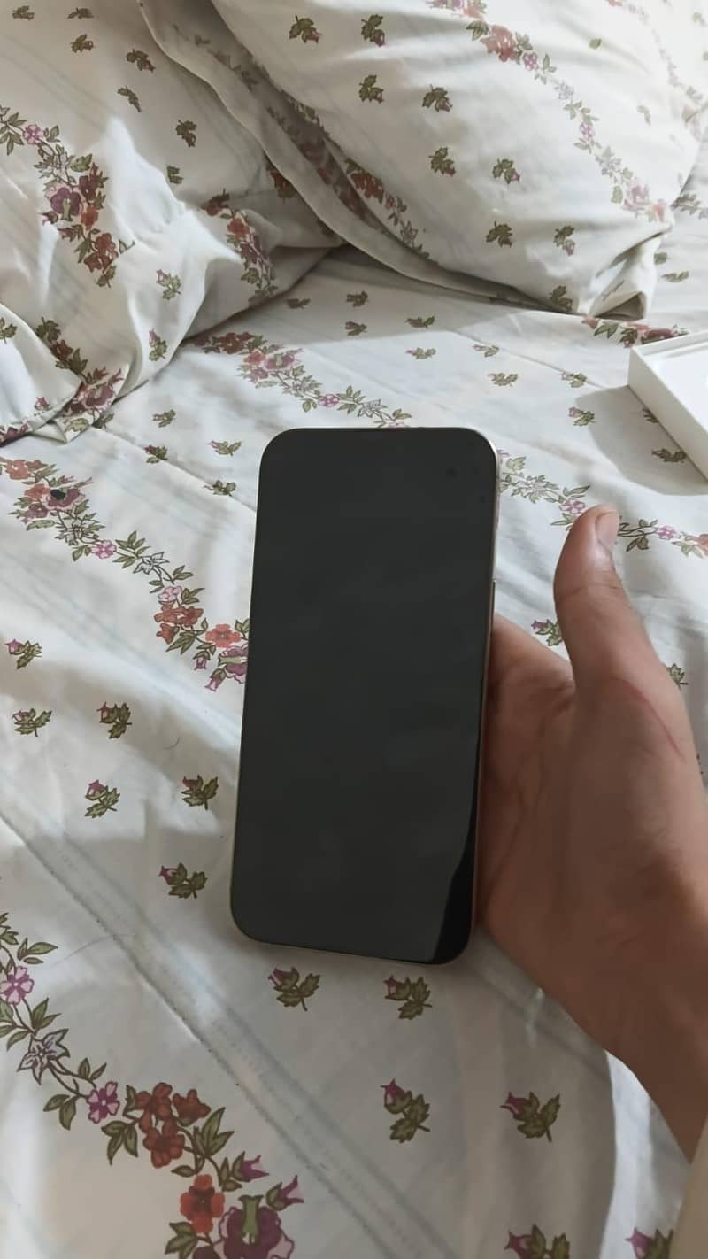 Apple iPhone 16 Pro Max 2