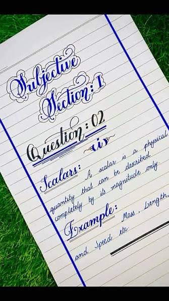 professional assignment writter and typing 1
