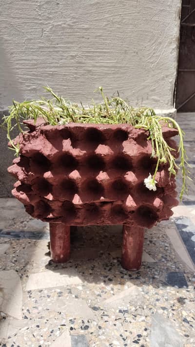 plant and pot for sale