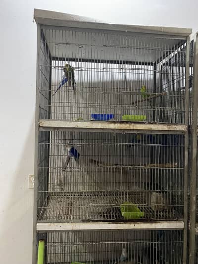 6 cages fixed  four portion for sale