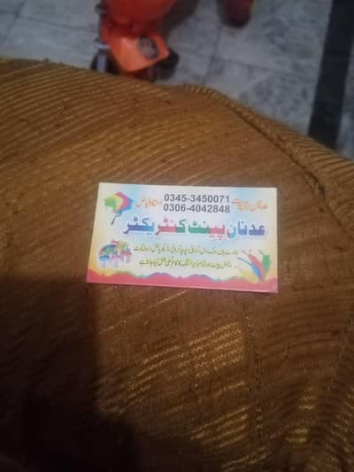 03064042848 my contact number