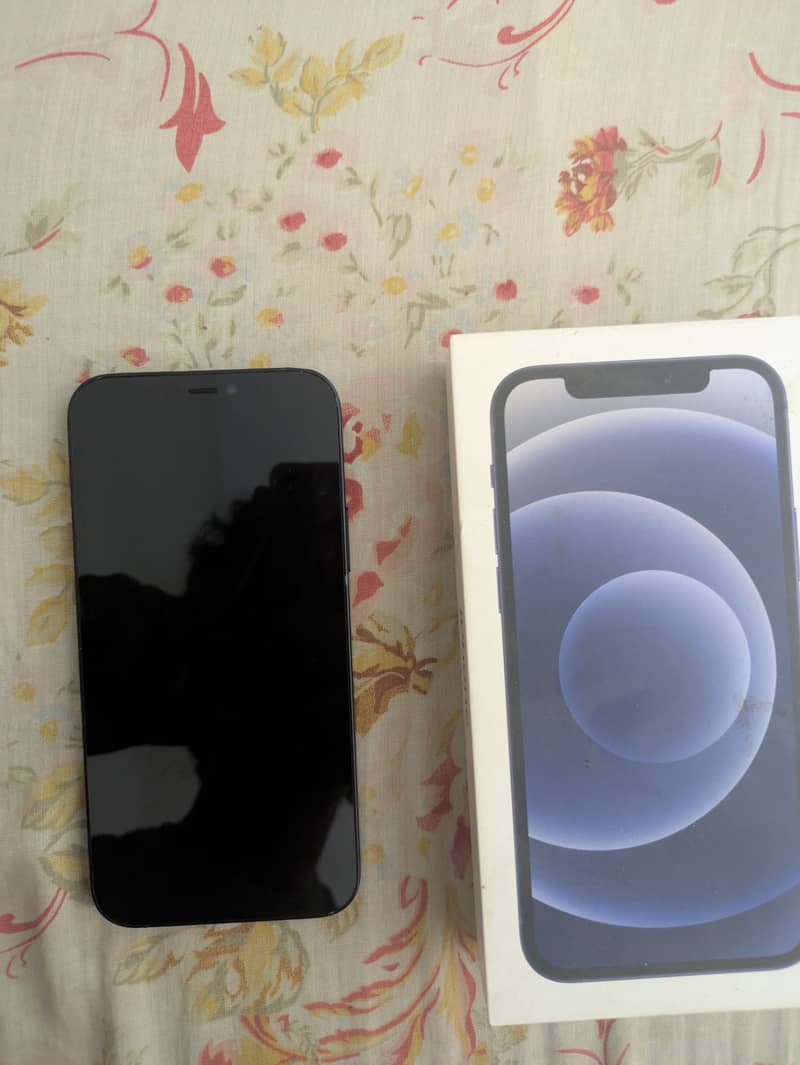 Apple iPhone 12 1