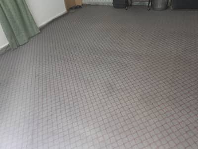 Carpet Clean