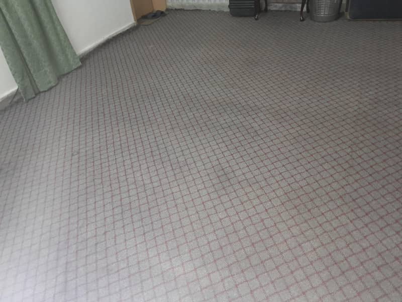 Carpet Clean 0