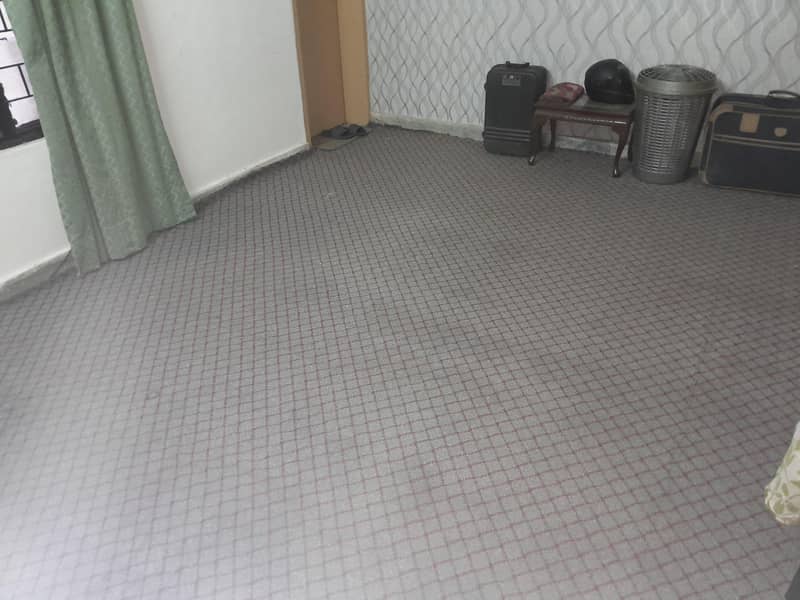 Carpet Clean 1