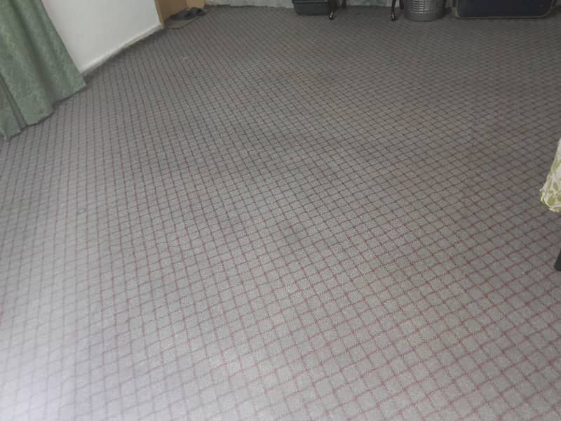 Carpet Clean 2