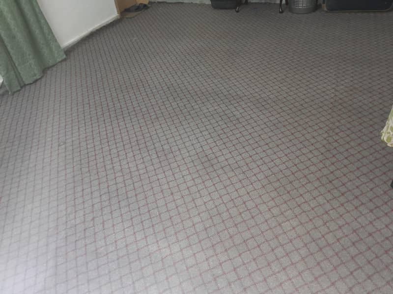 Carpet Clean 3
