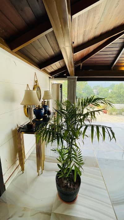 Beautiful Luxury 6 Bedroom House For Rent In F-10 Islamabad | Prime Location | Spacious Garden & Parking