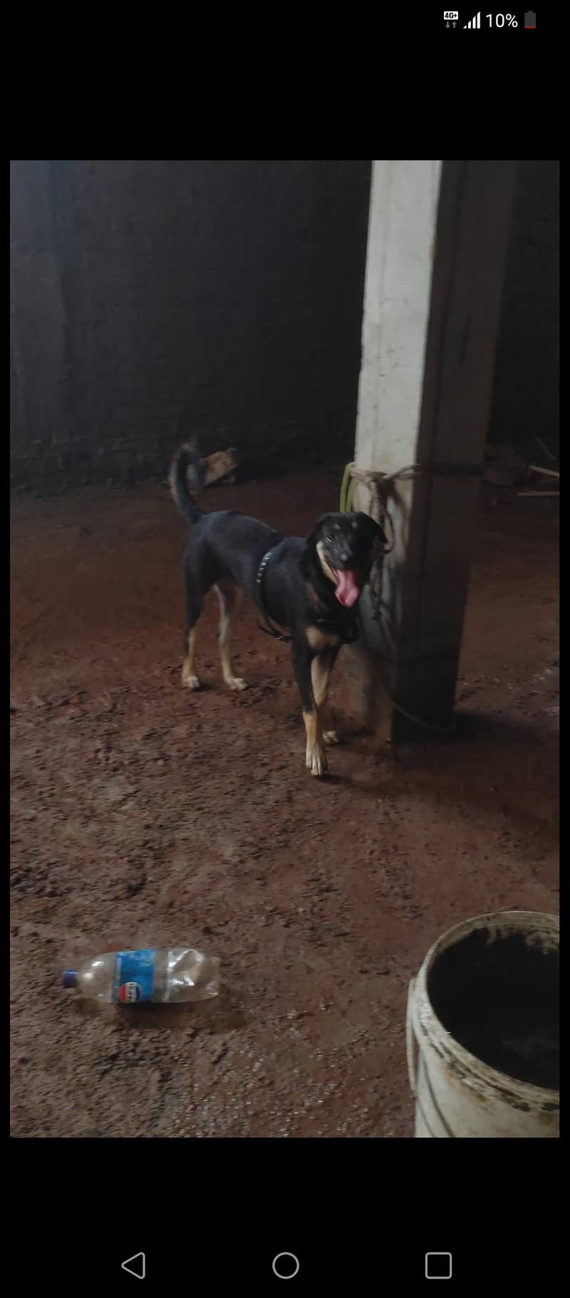 belgium 0