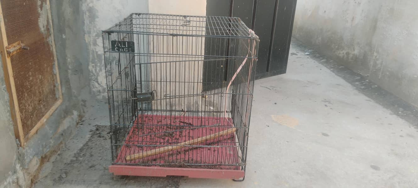 bird cages 0