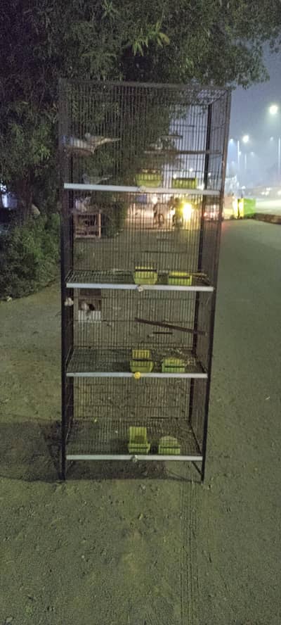 parrots cage