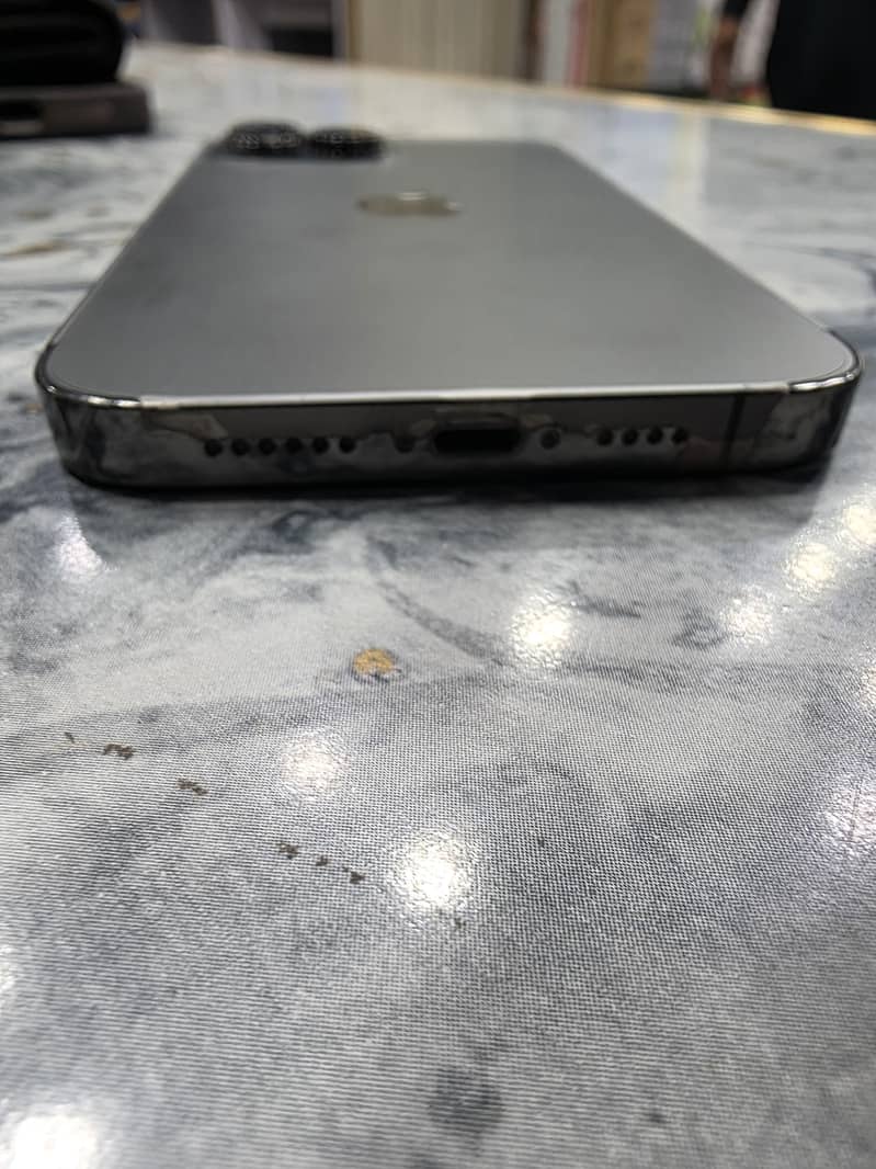 Apple iPhone 13 Pro Max 1