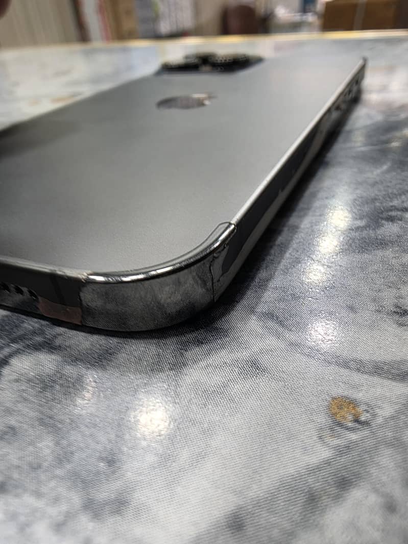 Apple iPhone 13 Pro Max 2