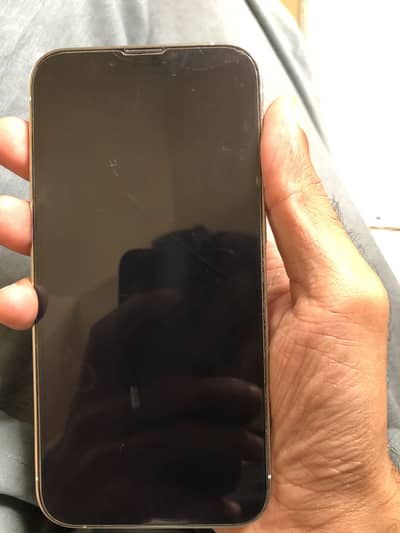 Apple iPhone 13 Pro