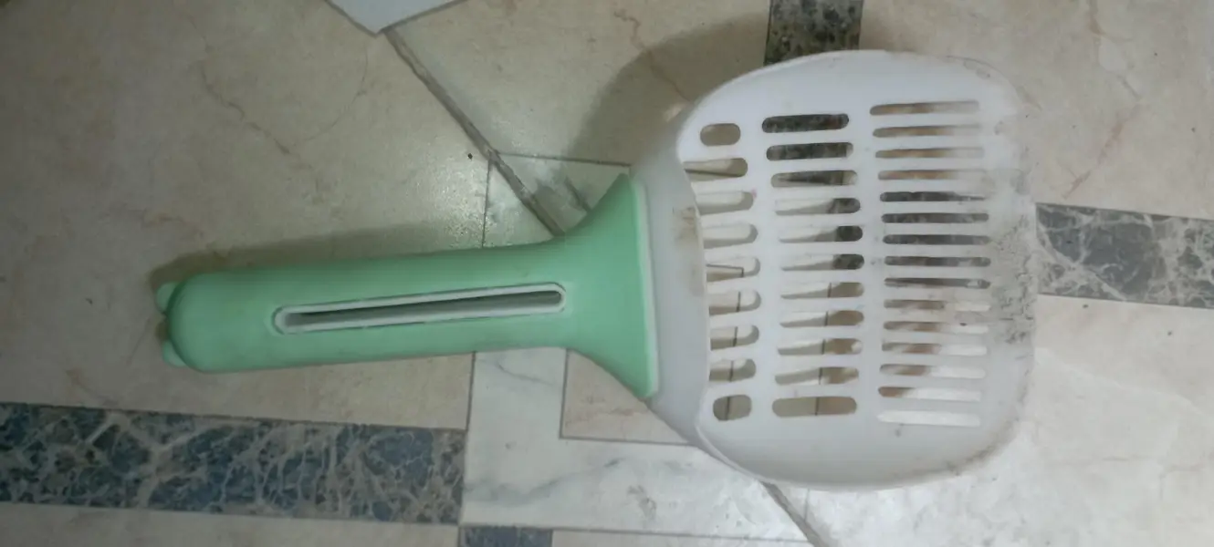 cats with cats food and litter box and litter and with cage — photo 5