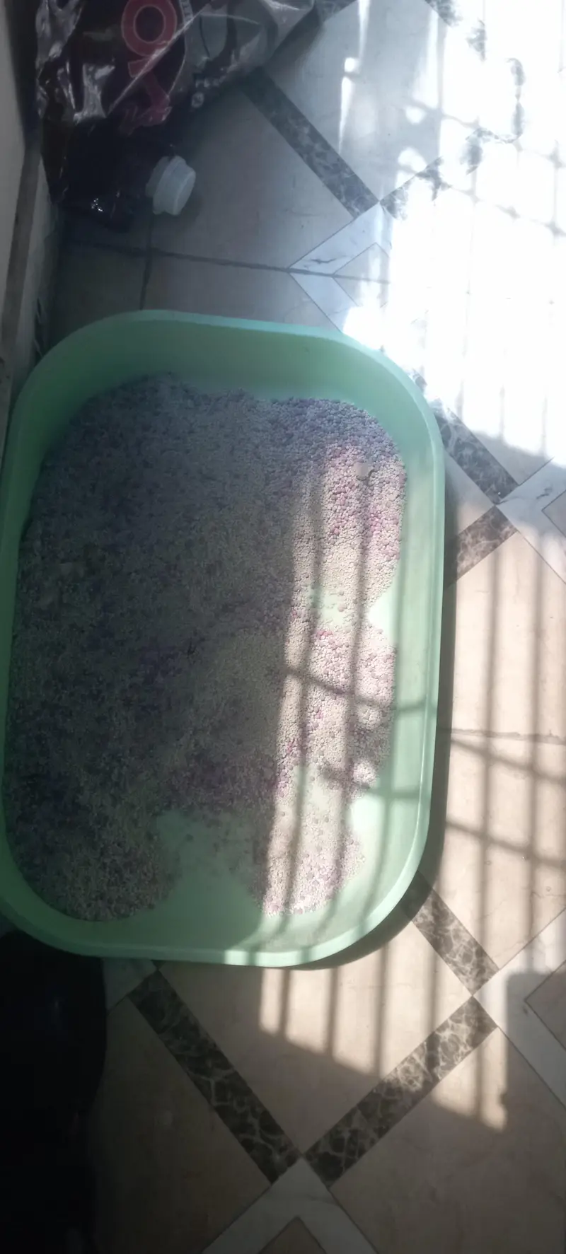cats with cats food and litter box and litter and with cage — photo 6