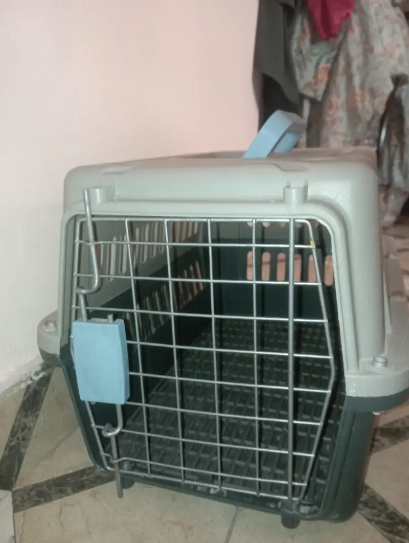 cats with cats food and litter box and litter and with cage — photo 9