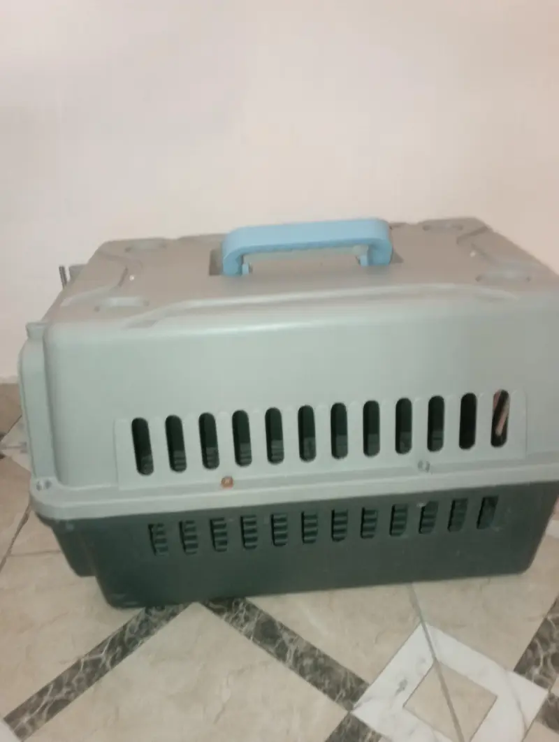 cats with cats food and litter box and litter and with cage — photo 10