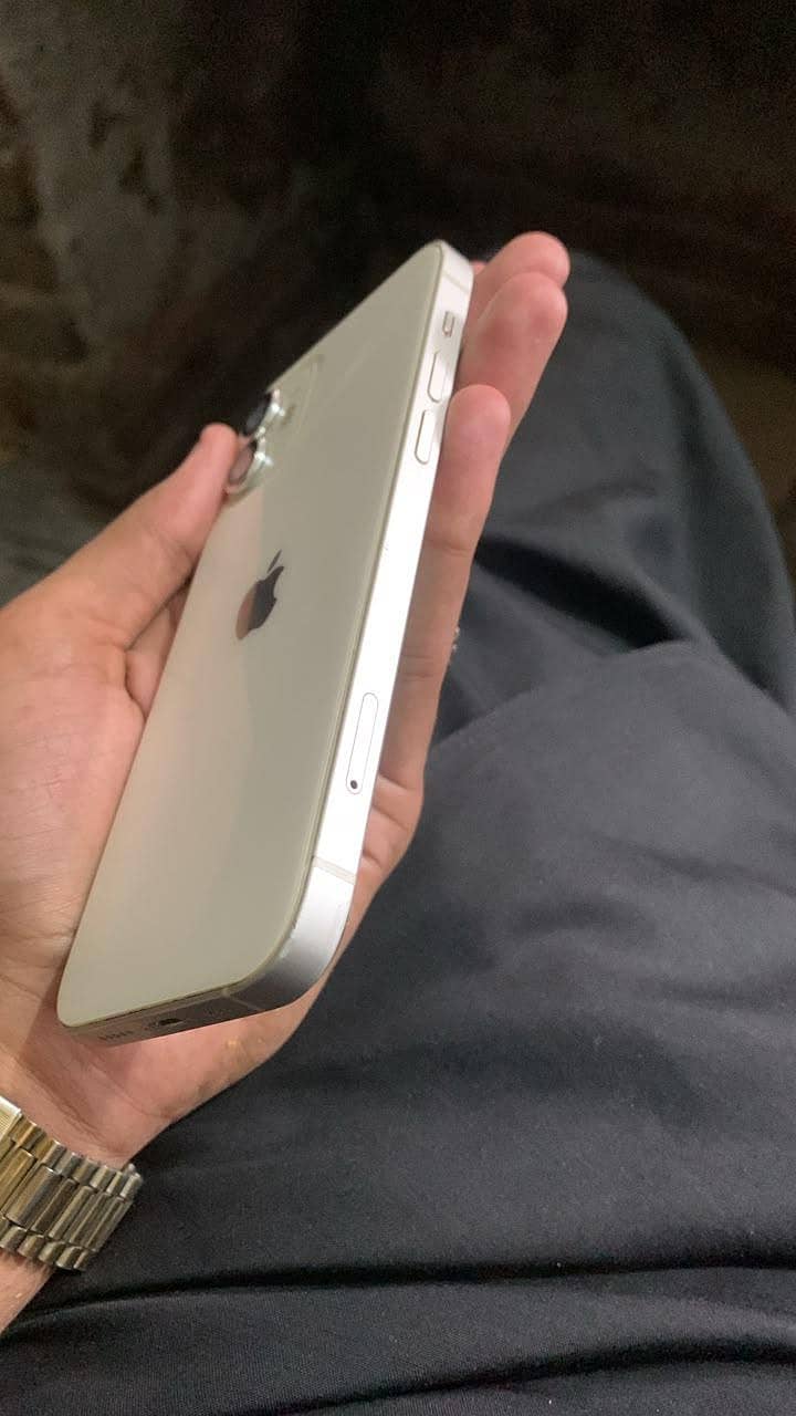 Apple iPhone 12 1