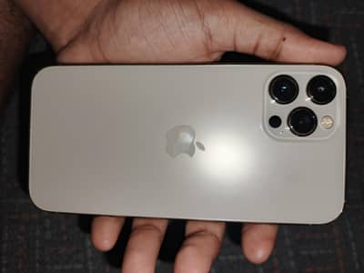 Apple iPhone 12 Pro Max