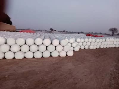 Silage/Corn Silage/Maki Silage/Animal Feeds چوہدری سائیلج