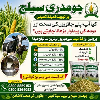 Silage/Corn Silage چوہدری سائیلج