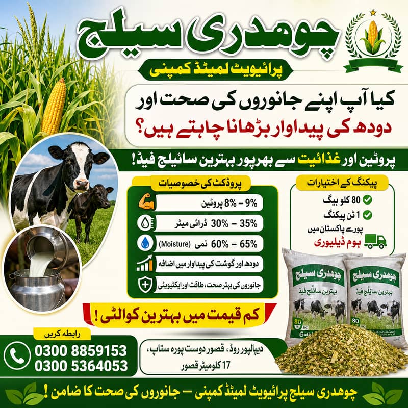 Silage/Corn Silage چوہدری سائیلج 0