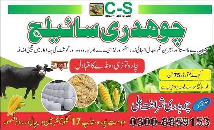 Silage/Corn Silage چوہدری سائیلج 16