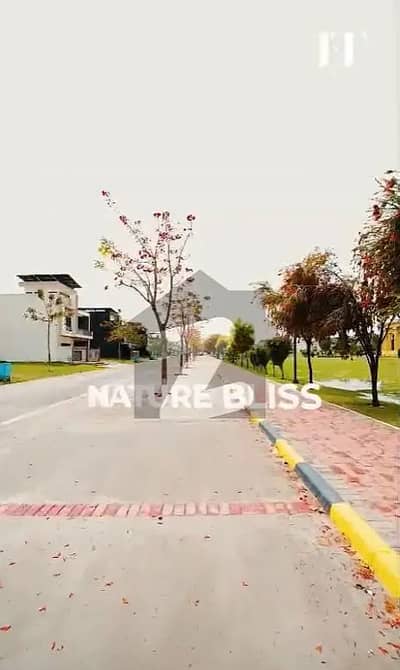 Faisal Hills Block D 30*60 Near To Park & Markaz Plot For Sale