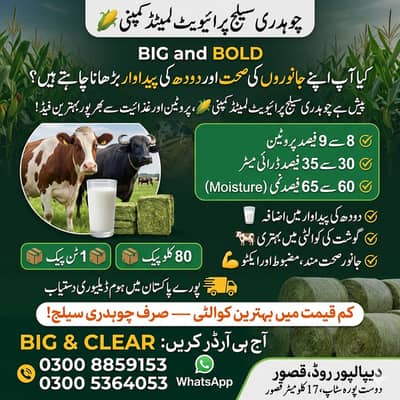 silage, corn silage, silage delivery all pakistan چوہدری سائیلج