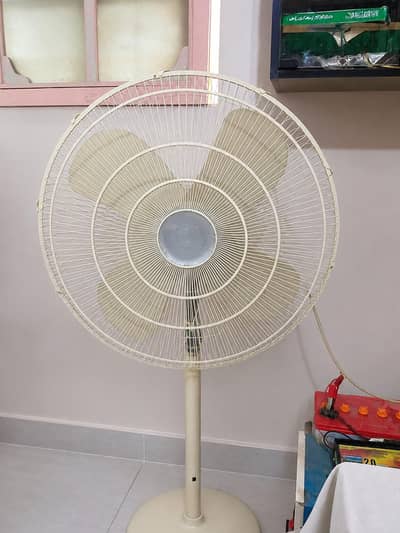 Pak Fan for Sale full size