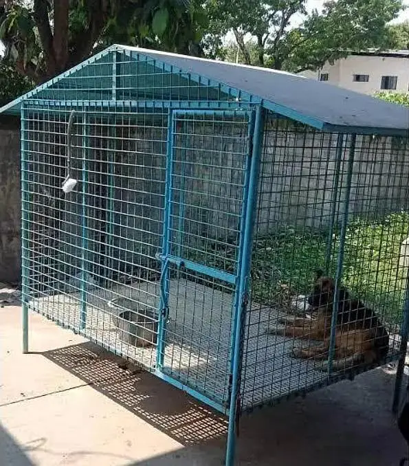 Dog Cage, Iron Cage, Dog House — photo 6
