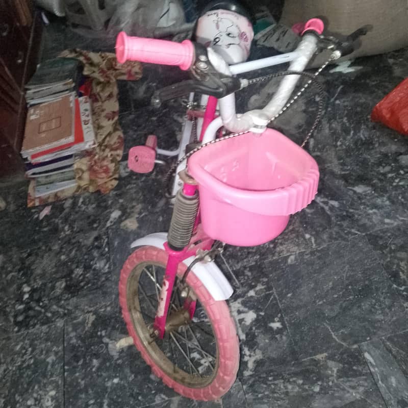 pink cycle 1