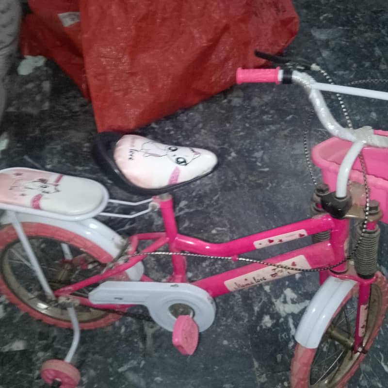pink cycle 2