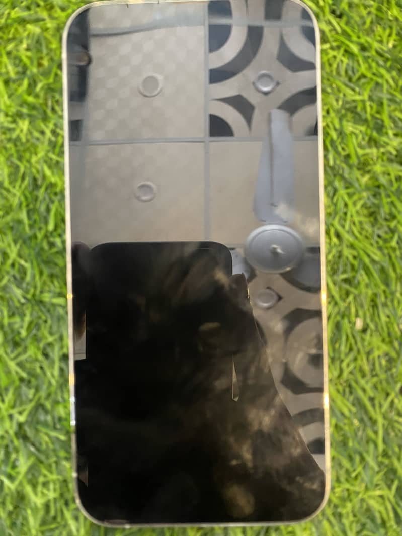 Iphone 13 pro max 6