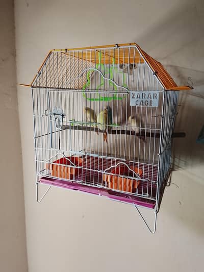 Parrot Cage