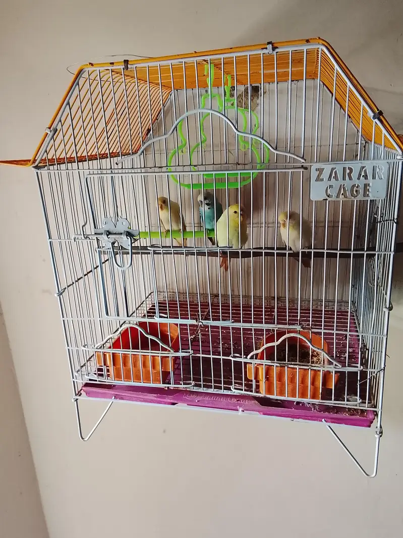 Parrot Cage — photo 2