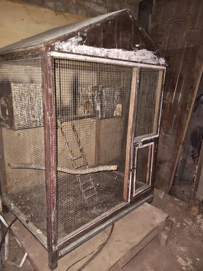 parrot wood cage