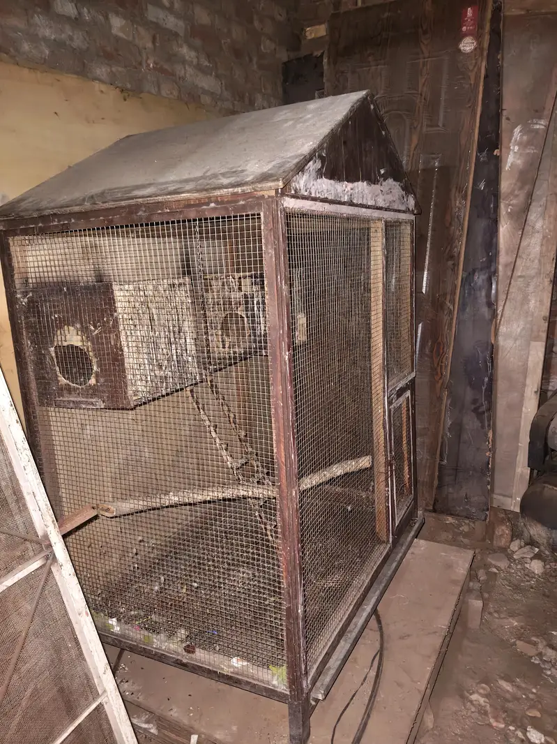 parrot wood cage — photo 2