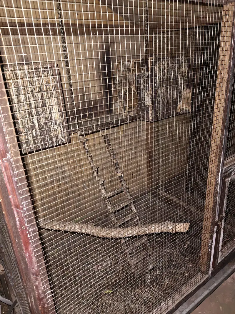 parrot wood cage — photo 3