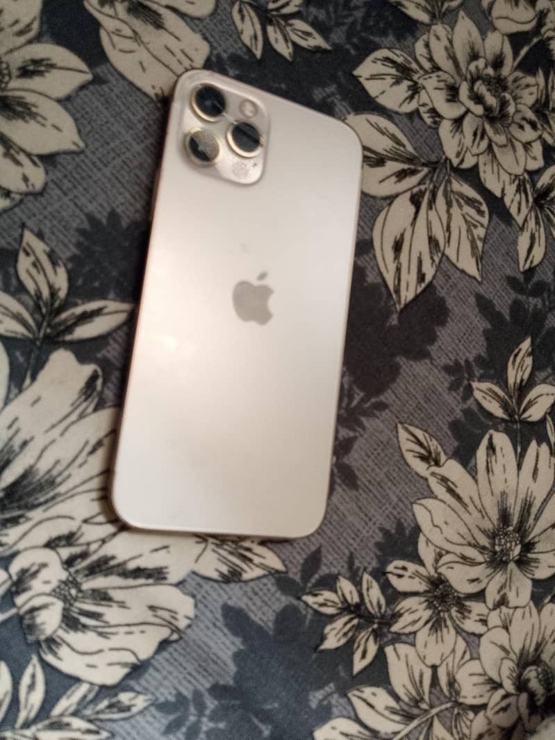 Apple iPhone 12 Pro 0