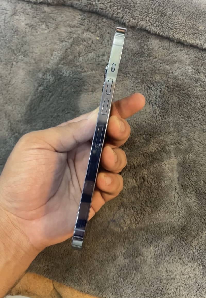 Apple iPhone 13 Pro Max 1