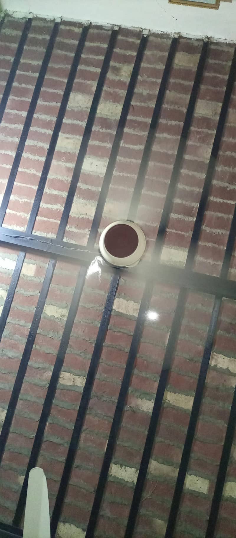ceiling fans 0