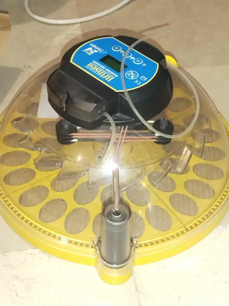ORIGINAL BRINSEA MAXI 24 PREMIUM EGG INCUBATOR FOR Sale — photo 4