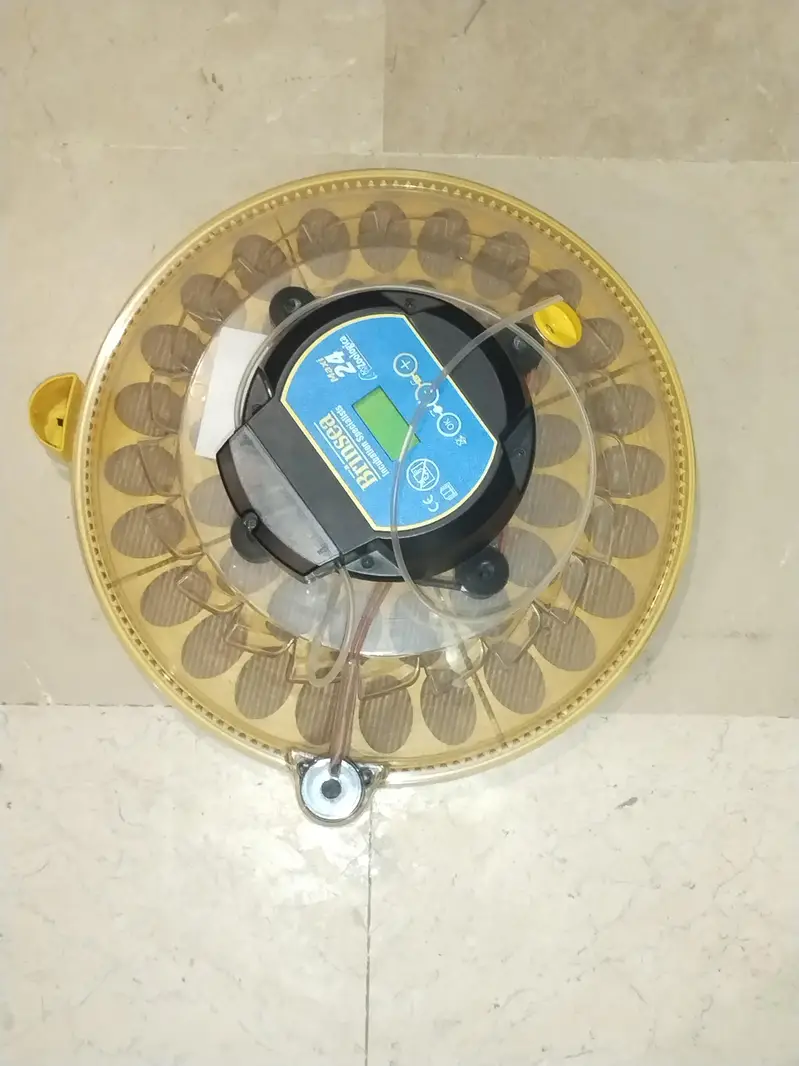ORIGINAL BRINSEA MAXI 24 PREMIUM EGG INCUBATOR FOR Sale — photo 5