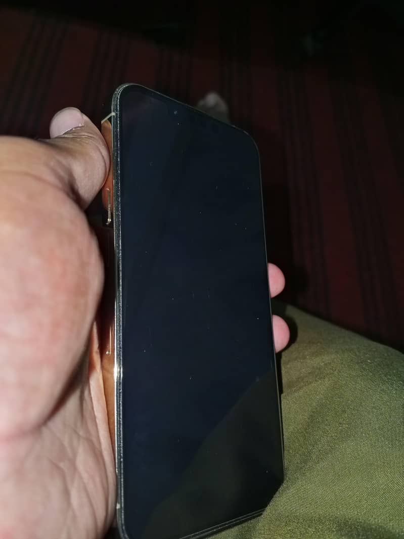 Apple iPhone 13 Pro 3