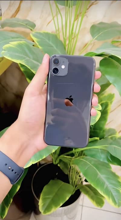 Apple iPhone 11