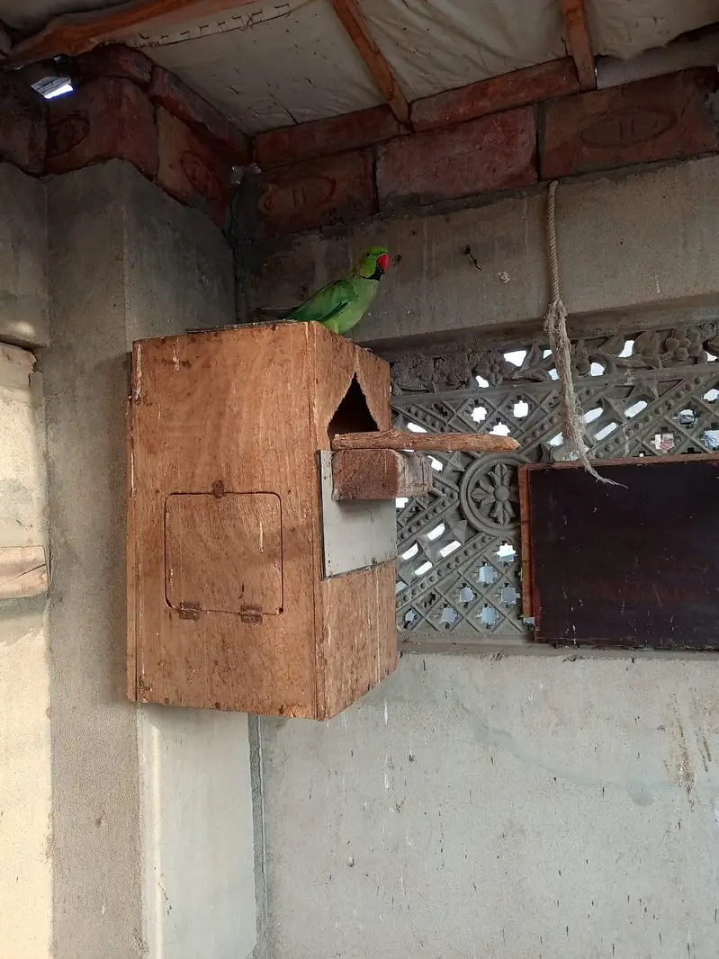 Healthy and Active — photo 5